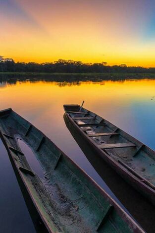 Islas salvajes: Joyas de un paraíso: Japón. Isla de extremos
