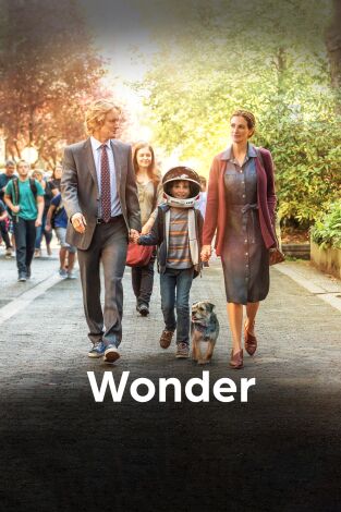 Wonder