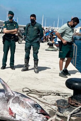 Seprona en acción: Episodio 16