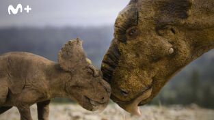 Caminando entre dinosaurios: La manada de Albertosaurus