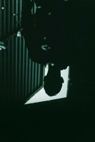 Cómo reconocer a un psicópata (T9): Episodio 4