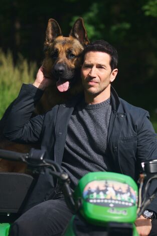 Hudson y Rex (T8): Ep.5 Resistencia Máxima Terranova