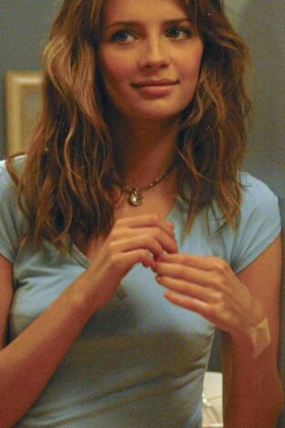 The O.C. (T1): Ep.2 La casa piloto