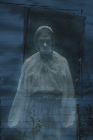 Este bosque está embrujado: Nadie volverá a verme más