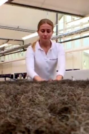 ¿Cómo lo hacen?: Episodio 2