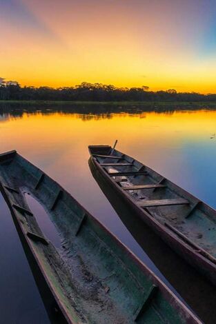 Las islas más salvajes: Las Malvinas. El paraíso de los pingüinos