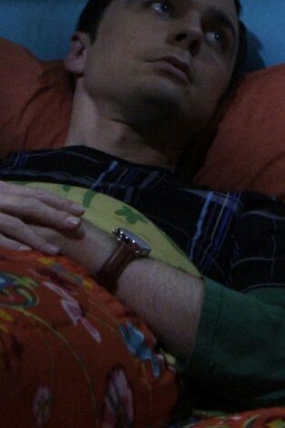 Big Bang (T2): Ep.21 La re-normalización de Las Vegas