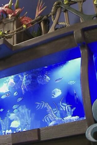 Acuarios XXL: Buen karma