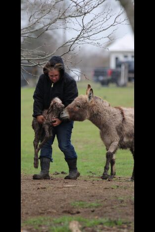 Sobrevivir en lo salvaje: Todas mis tensiones viven en Texas