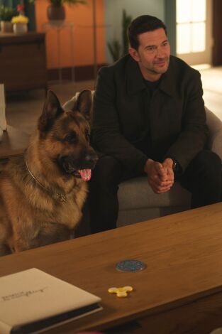 Hudson y Rex (T8): Ep.2 Testigo a la fuga