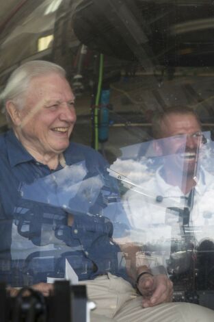 La Gran Barrera de Coral: tesoro vivo: El mar de coral