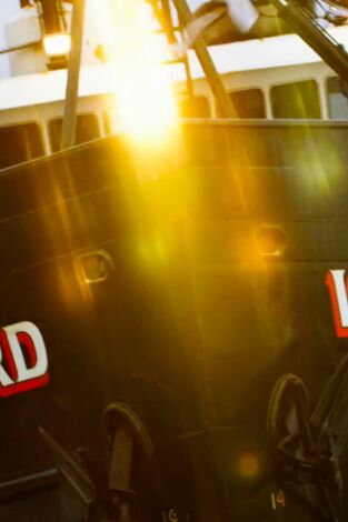 Pesca radical: La gracia divina