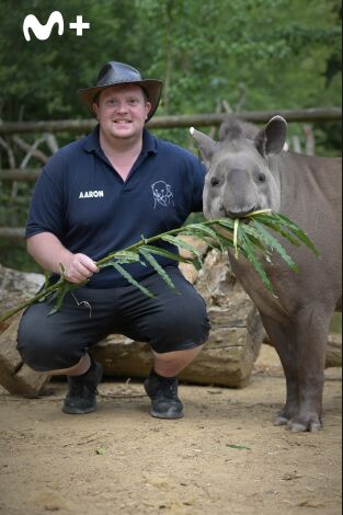 One Zoo Three: Superhéroes