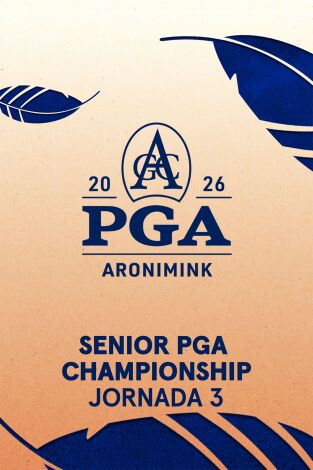 PGA Tour Champions (T2025): Senior PGA Championship. Jornada 3