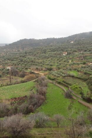 El escarabajo verde: Al borde del abismo 3