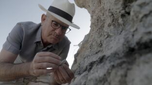 Tesoros perdidos de La Biblia: Misterios de la Fe: La vida de Cristo