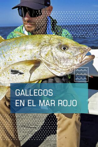 Gallegos en el Mar Rojo