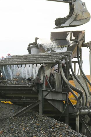 Los Hoffman: oro en las venas: El terrible caos de Todd