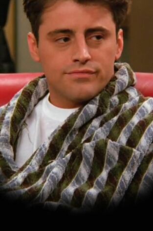 Friends (T2): Ep.18 En el que el Dr. Ramoray muere