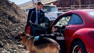 Hudson y Rex (T2): Ep.4 Los bosques tienen ojos