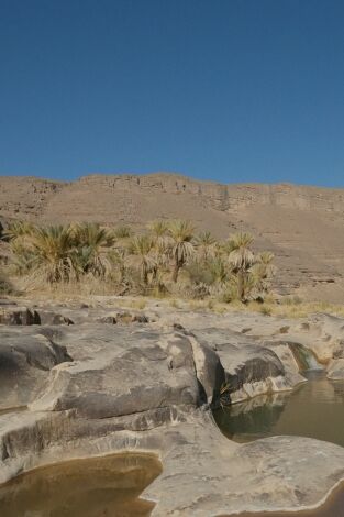 El Sàhara verd: Episodi 2