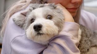 El increíble doctor Pol: Está nevando a cántaros