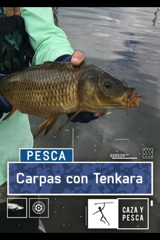 Carpas con Tenkara