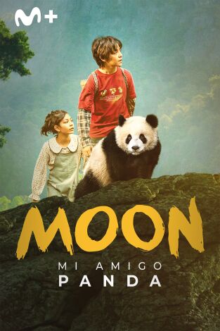 Moon, mi amigo panda
