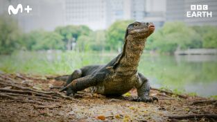 Asia: Continente superpoblado