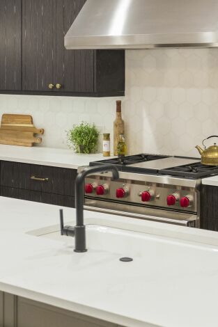 Reformas en Chicago: Episodio 8