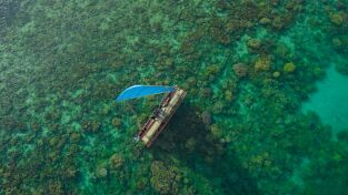 De polo a polo con Will Smith: El Amazonas: criaturas letales