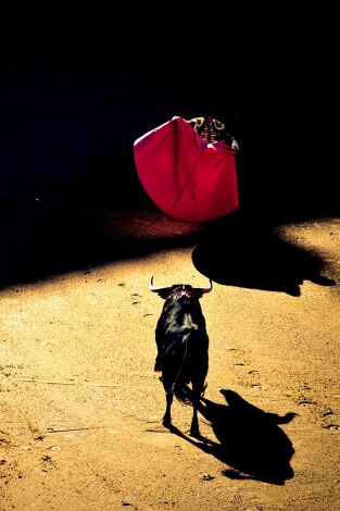 Festival Taurino con Picadores en Ricla