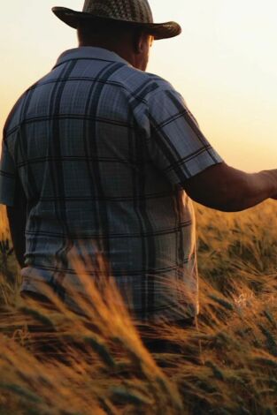 Extraterrestres. Ellos están entre nosotros: Extraterrestres en el arte