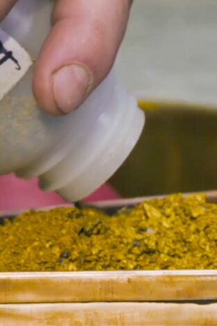 Los Hoffman: oro en las venas: La veta madre