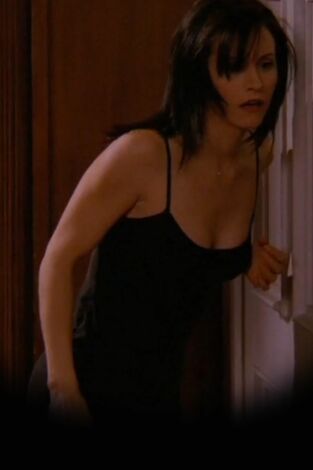 Friends (T3): Ep.13 El de cuando Monica y Richard son amigos