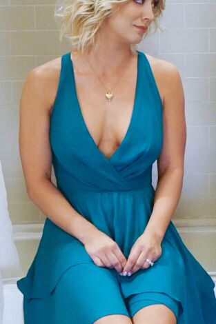 Big Bang (T9): Ep.17 La experimentación de la celebración