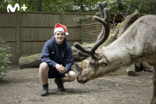 One Zoo Three: El día de los dinosaurios