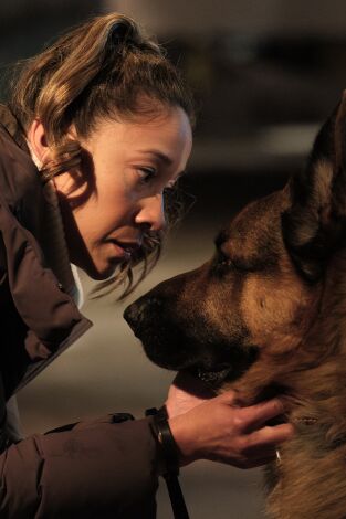 Hudson y Rex (T8): Ep.7 Rex Criminal