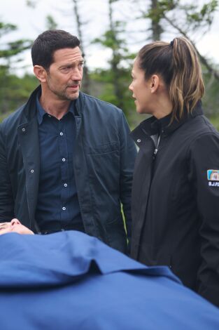 Hudson y Rex (T8): Ep.8 A vista de pájaro