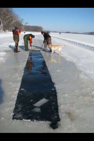 Misisipi salvaje: La helada