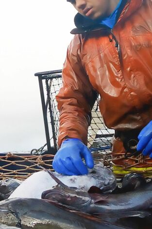 Pesca radical: Mundo frío y duro