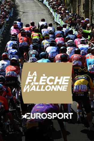 UCI World Tour (T2026): Flecha Valona M