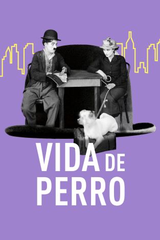 Vida de perro