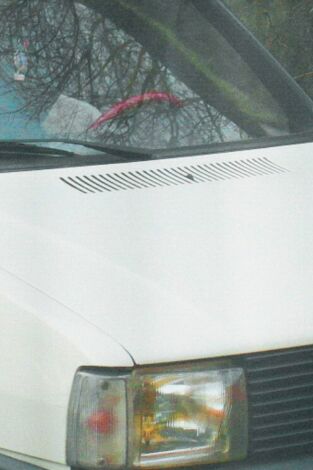 Diana: La investigación continúa: Episodio 2