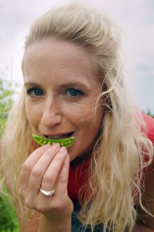 Les quatre coins de l'assiette