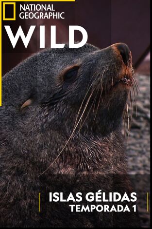 Islas gélidas: Islas gélidas 2