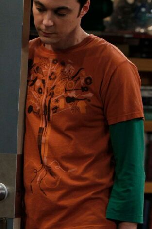 Big Bang (T4): Ep.17 La derivación de un brindis