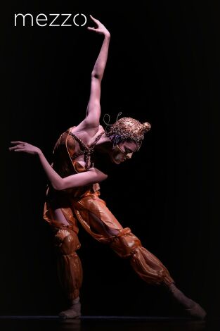 Scheherazade | Czech National Ballet