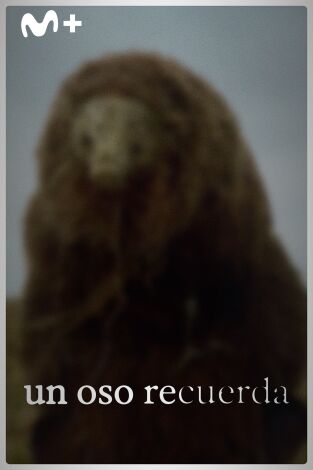 Un oso recuerda