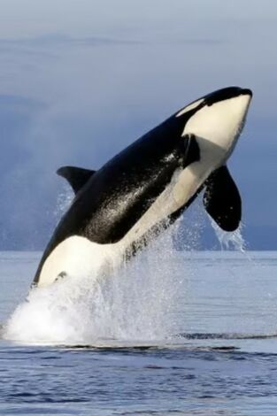 Aliens de las profundidades